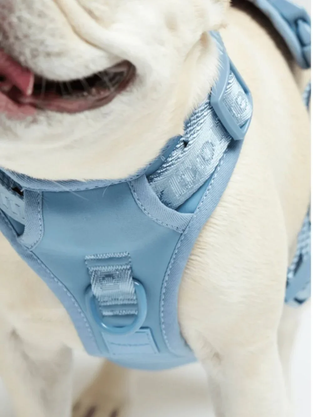 Maxbone Go! With Ease Leash Bundle - Dog Harness Set - NWT - MSRP $135